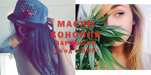 молекула духа Надым