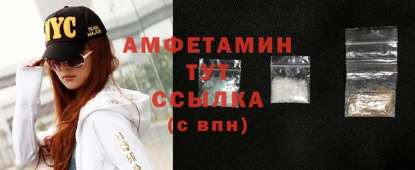 молекула духа Надым